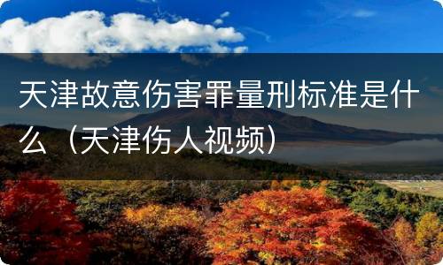 天津故意伤害罪量刑标准是什么（天津伤人视频）