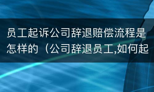 员工起诉公司辞退赔偿流程是怎样的（公司辞退员工,如何起诉）