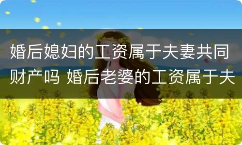 婚后媳妇的工资属于夫妻共同财产吗 婚后老婆的工资属于夫妻共同财产吗
