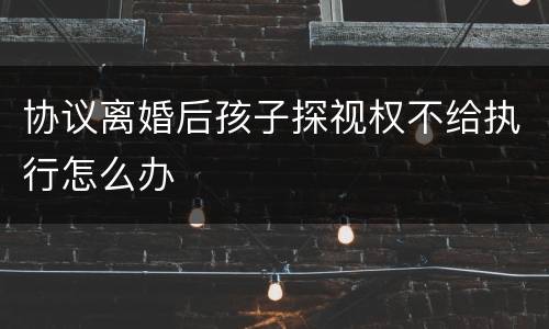 协议离婚后孩子探视权不给执行怎么办