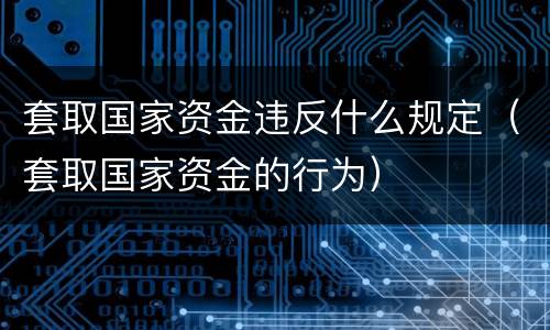 套取国家资金违反什么规定（套取国家资金的行为）