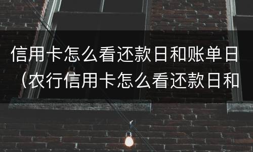 信用卡怎么看还款日和账单日（农行信用卡怎么看还款日和账单日）