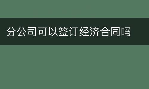 分公司可以签订经济合同吗