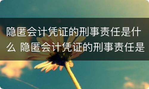 隐匿会计凭证的刑事责任是什么 隐匿会计凭证的刑事责任是什么