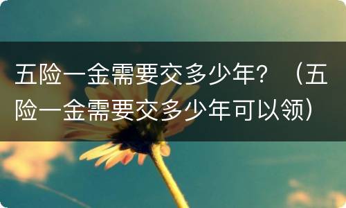 五险一金需要交多少年？（五险一金需要交多少年可以领）