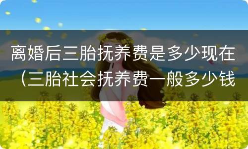 离婚后三胎抚养费是多少现在（三胎社会抚养费一般多少钱）