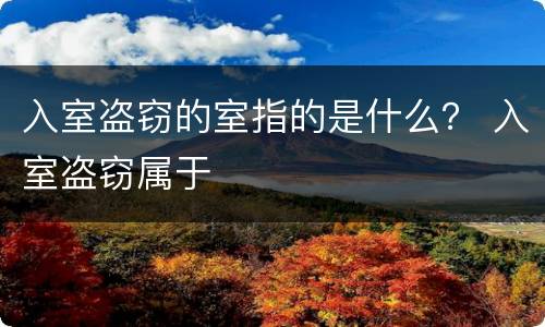 入室盗窃的室指的是什么？ 入室盗窃属于