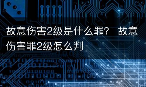 故意伤害2级是什么罪？ 故意伤害罪2级怎么判