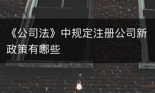 《公司法》中规定注册公司新政策有哪些