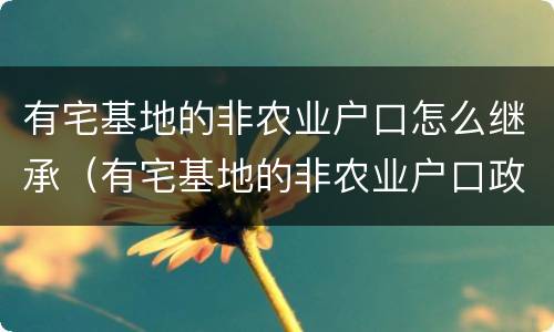 有宅基地的非农业户口怎么继承（有宅基地的非农业户口政策）