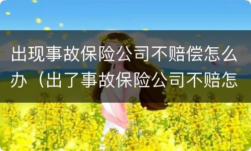 出现事故保险公司不赔偿怎么办（出了事故保险公司不赔怎么办）