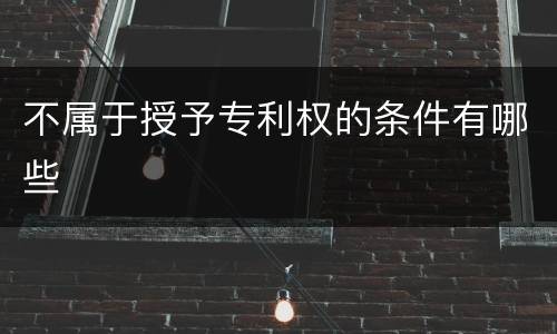 不属于授予专利权的条件有哪些