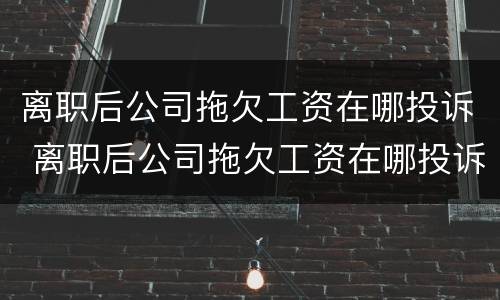 离职后公司拖欠工资在哪投诉 离职后公司拖欠工资在哪投诉电话