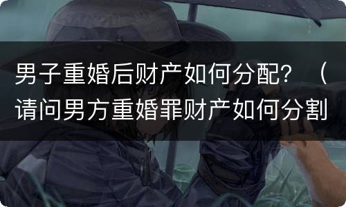男子重婚后财产如何分配？（请问男方重婚罪财产如何分割）