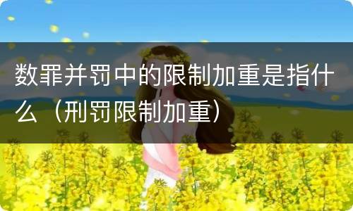 数罪并罚中的限制加重是指什么（刑罚限制加重）