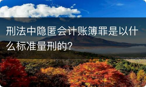 刑法中隐匿会计账簿罪是以什么标准量刑的?