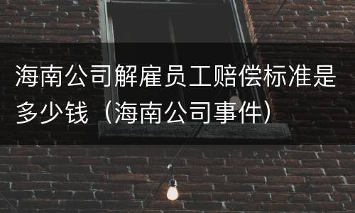 海南公司解雇员工赔偿标准是多少钱（海南公司事件）