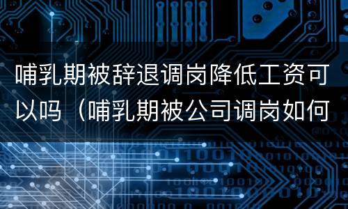 哺乳期被辞退调岗降低工资可以吗（哺乳期被公司调岗如何申请劳动仲裁）