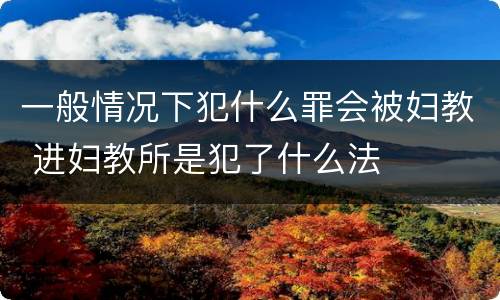 一般情况下犯什么罪会被妇教 进妇教所是犯了什么法