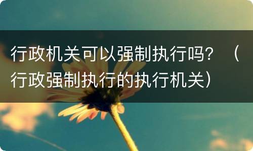 行政机关可以强制执行吗？（行政强制执行的执行机关）