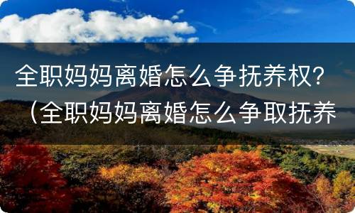 全职妈妈离婚怎么争抚养权？（全职妈妈离婚怎么争取抚养权）