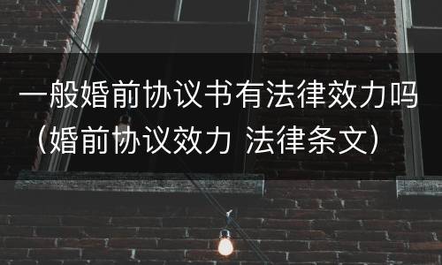 一般婚前协议书有法律效力吗（婚前协议效力 法律条文）