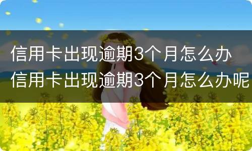 信用卡出现逾期3个月怎么办 信用卡出现逾期3个月怎么办呢