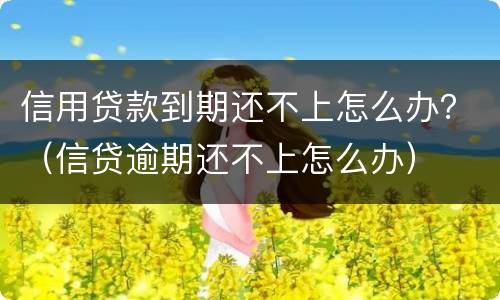 信用贷款到期还不上怎么办？（信贷逾期还不上怎么办）