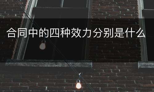 合同中的四种效力分别是什么
