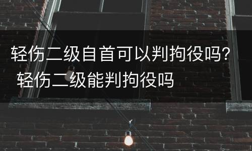 轻伤二级自首可以判拘役吗？ 轻伤二级能判拘役吗