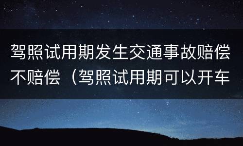 驾照试用期发生交通事故赔偿不赔偿（驾照试用期可以开车吗）