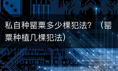 私自种罂粟多少棵犯法？（罂粟种植几棵犯法）