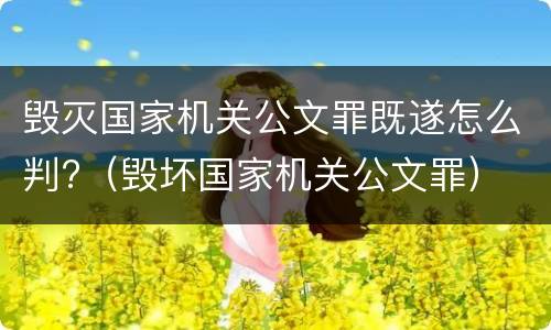 毁灭国家机关公文罪既遂怎么判?（毁坏国家机关公文罪）