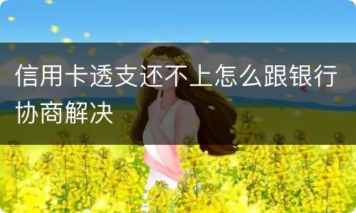信用卡透支还不上怎么跟银行协商解决