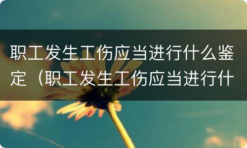 职工发生工伤应当进行什么鉴定（职工发生工伤应当进行什么鉴定和赔偿）