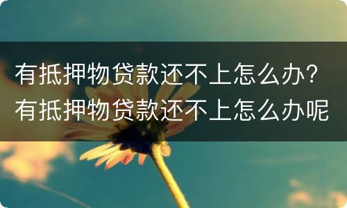 有抵押物贷款还不上怎么办? 有抵押物贷款还不上怎么办呢