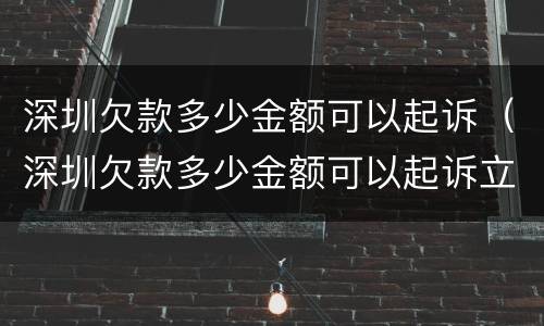 深圳欠款多少金额可以起诉（深圳欠款多少金额可以起诉立案）