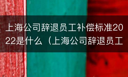 上海公司辞退员工补偿标准2022是什么（上海公司辞退员工补偿标准2022是什么时候发）
