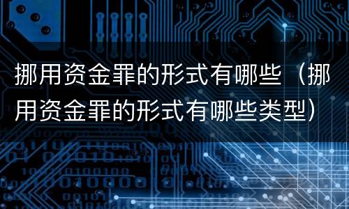 挪用资金罪的形式有哪些（挪用资金罪的形式有哪些类型）