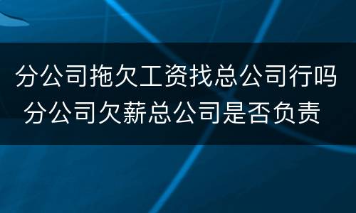 分公司拖欠工资找总公司行吗 分公司欠薪总公司是否负责
