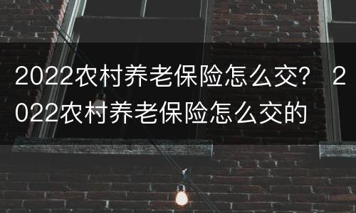 2022农村养老保险怎么交？ 2022农村养老保险怎么交的