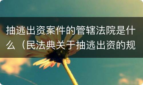 抽逃出资案件的管辖法院是什么（民法典关于抽逃出资的规定）