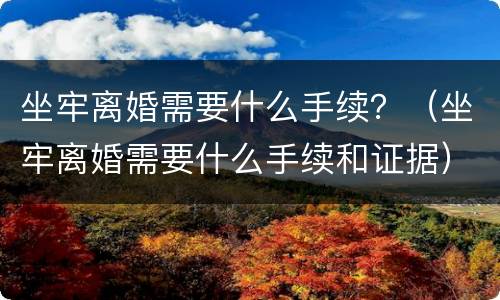 坐牢离婚需要什么手续？（坐牢离婚需要什么手续和证据）