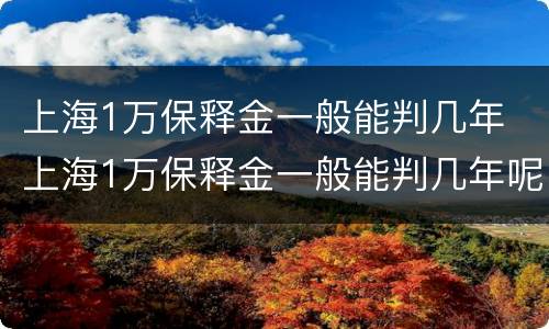 上海1万保释金一般能判几年 上海1万保释金一般能判几年呢