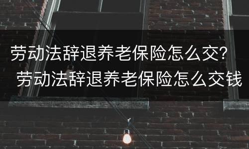 劳动法辞退养老保险怎么交？ 劳动法辞退养老保险怎么交钱
