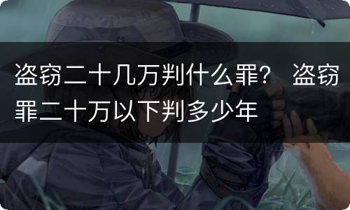 盗窃二十几万判什么罪？ 盗窃罪二十万以下判多少年