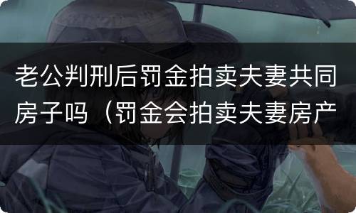 老公判刑后罚金拍卖夫妻共同房子吗（罚金会拍卖夫妻房产吗）