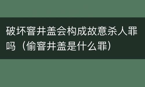 破坏窨井盖会构成故意杀人罪吗（偷窨井盖是什么罪）