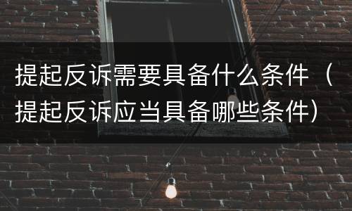 提起反诉需要具备什么条件（提起反诉应当具备哪些条件）