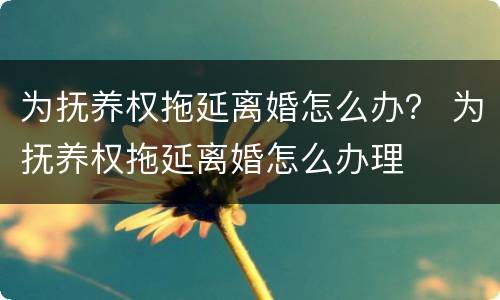 为抚养权拖延离婚怎么办？ 为抚养权拖延离婚怎么办理